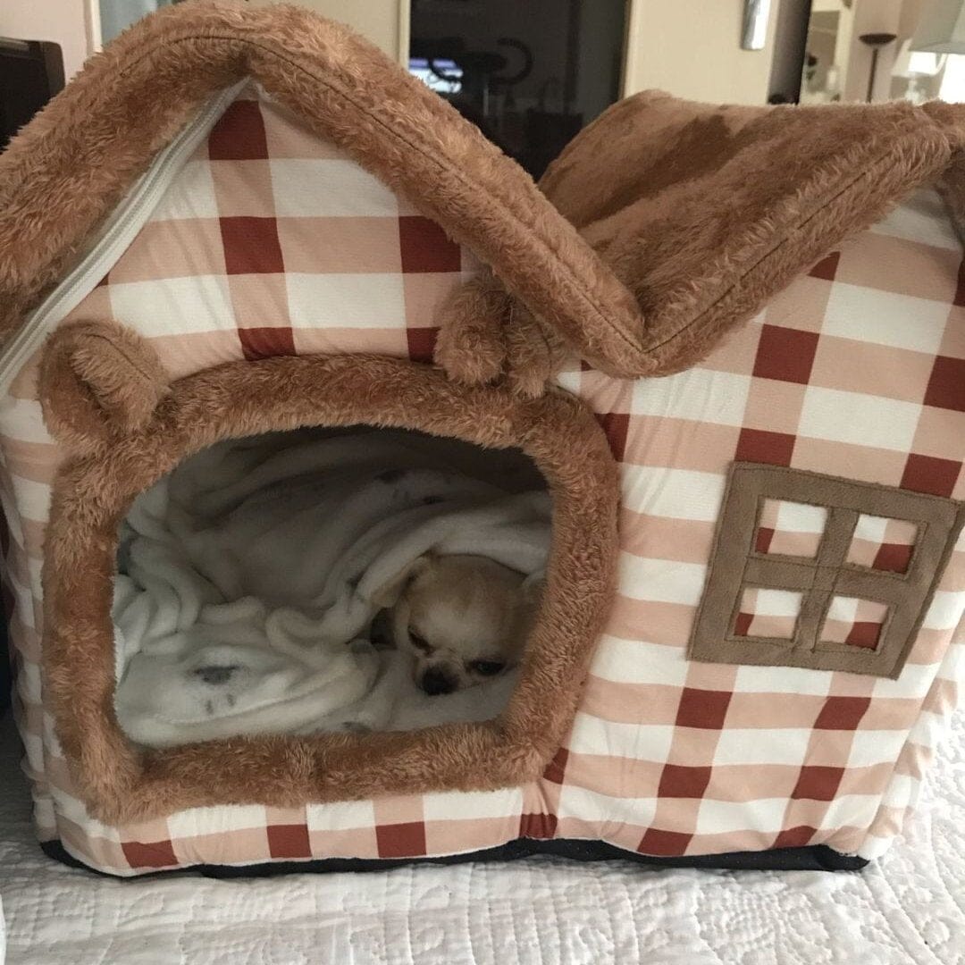 Niche Chien - ComfortableDogHouse™ - Marron Toiture Double